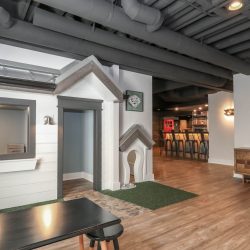 856ae107444f7a5f3813322740098401